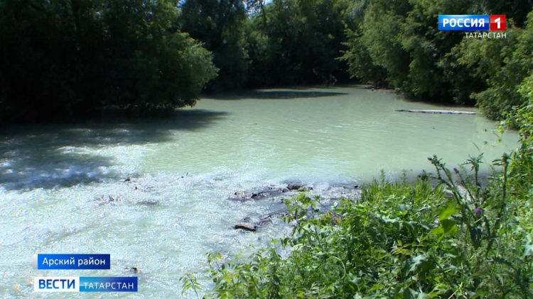 В Татарстане урожайность в этом году снизится на треть из-за засухи