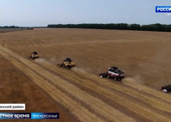 «Я — жена офицера, и я этим горжусь»: семьи бойцов СВО рассказали о встрече со своими защитниками