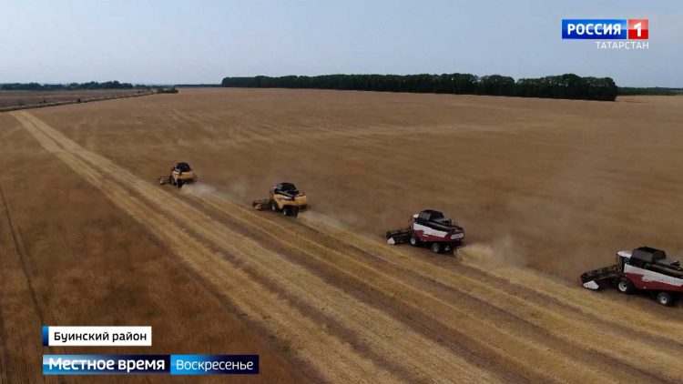 «Я — жена офицера, и я этим горжусь»: семьи бойцов СВО рассказали о встрече со своими защитниками