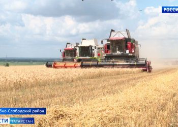 Жатва в Татарстане: урожайность и конкурс молодых комбайнеров