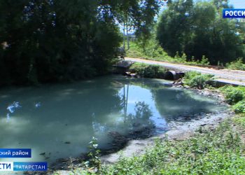 В Татарстане урожайность в этом году снизится на треть из-за засухи