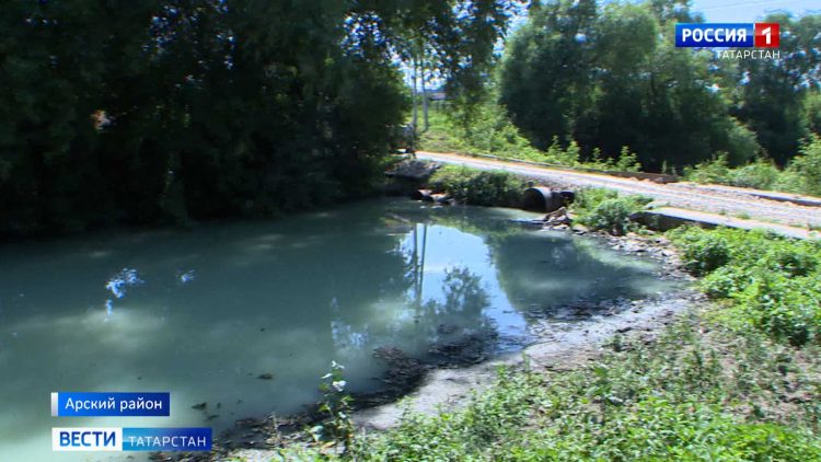 В Татарстане урожайность в этом году снизится на треть из-за засухи