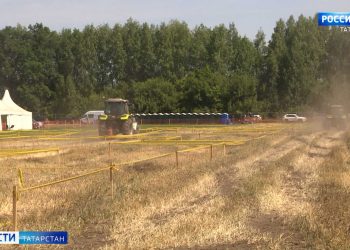 В Лаишевском районе проходит главное сельскохозяйственное событие «Всероссийский день поля»