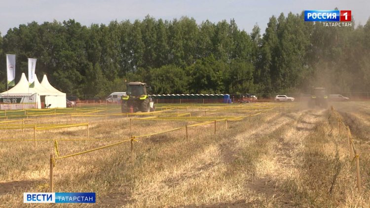 В Лаишевском районе проходит главное сельскохозяйственное событие «Всероссийский день поля»