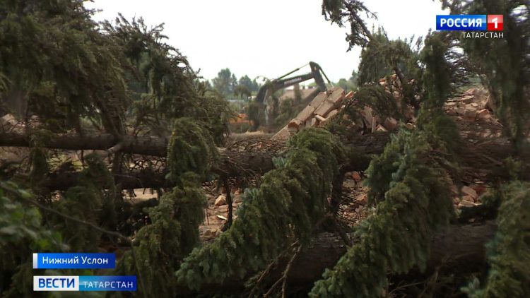 Жители Нижнего Услона обеспокоены стройкой и вырубкой деревьев на территории бывшего завода