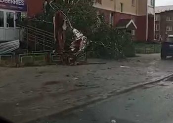 В Агрызе ураган снес крыши, повалил деревья и повредил урожай