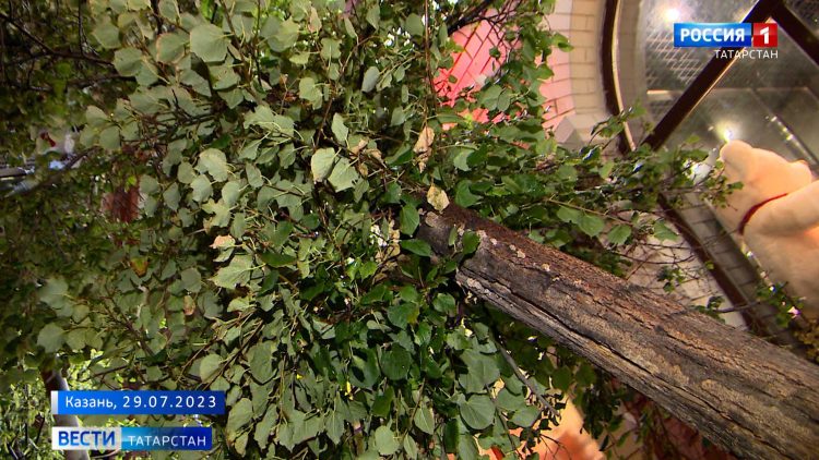 В Татарстане продолжается ликвидация последствий урагана