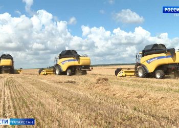Аграрии Татарстана борются за богатый урожай