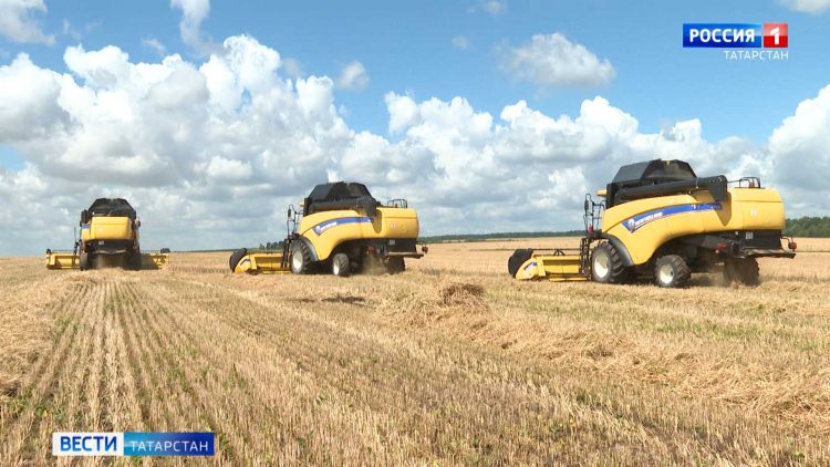 Аграрии Татарстана борются за богатый урожай