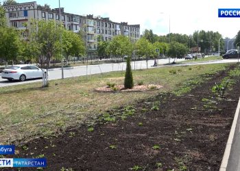 В Елабуге внедряют систему капельного полива