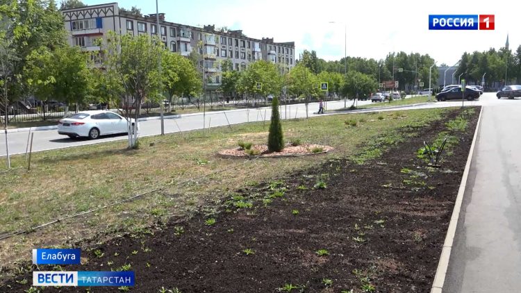 В Елабуге внедряют систему капельного полива