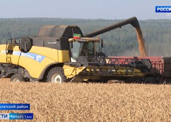 В Татарстане определили лидеров по урожайности