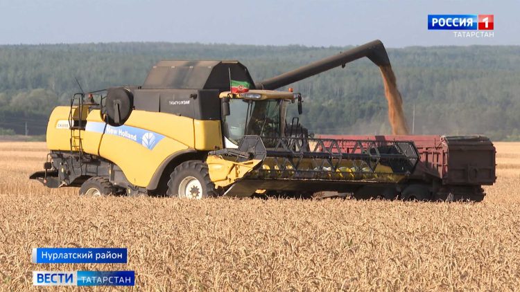 В Татарстане определили лидеров по урожайности