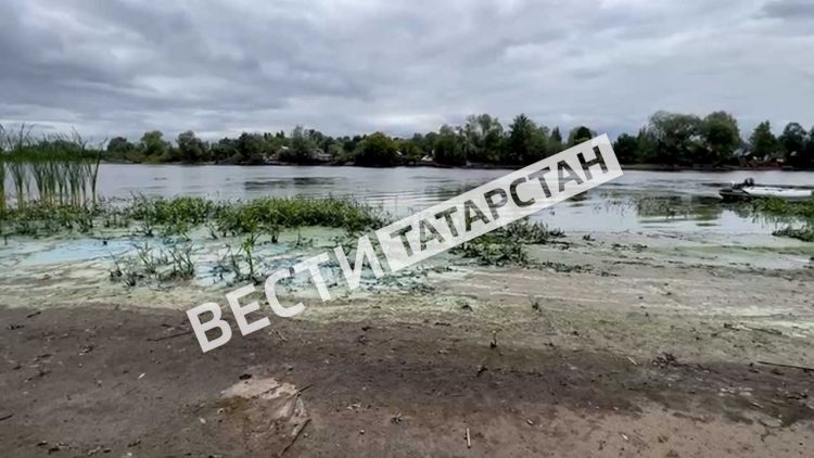 В Зеленодольском районе обмелела Волга