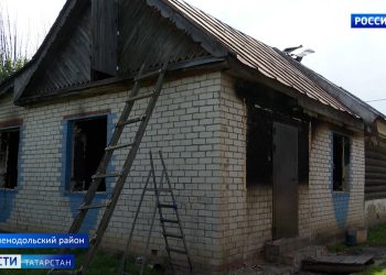 В Казанском зооботсаду появились варан и геккон