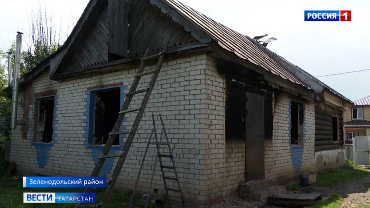 В Казанском зооботсаду появились варан и геккон