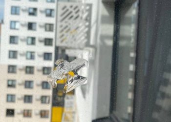 В «Салават Купере» неизвестные открыли стрельбу по окнам