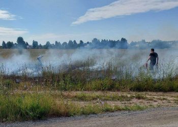 Жители Новой Туры самостоятельно потушили горящую траву