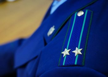 Прокуратура проводит проверку после нападения собаки на ребенка в Казани