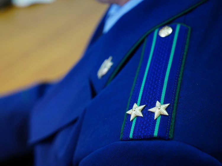 Прокуратура проводит проверку после нападения собаки на ребенка в Казани