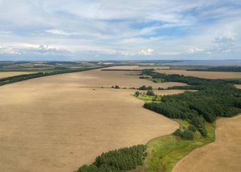 Минниханов осмотрел поля сельского хозяйства в Татарстане