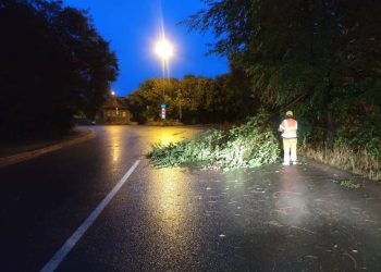 В Лаишевском районе дерево упало на палатку, погибла девочка