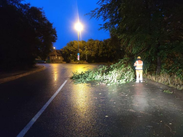 В Лаишевском районе дерево упало на палатку, погибла девочка