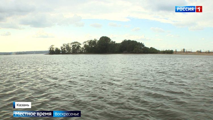 Уровень воды в Волге стремительно снижается: опасность для судов и экологии