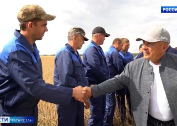 Минниханов осмотрел ход уборочных работ в трех районах республики