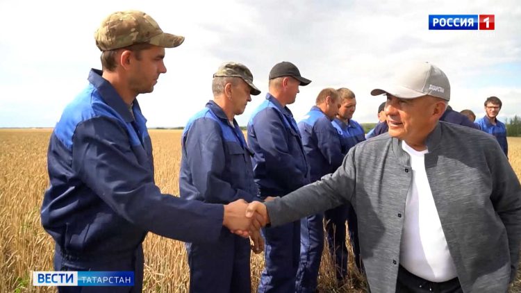 Минниханов осмотрел ход уборочных работ в трех районах республики