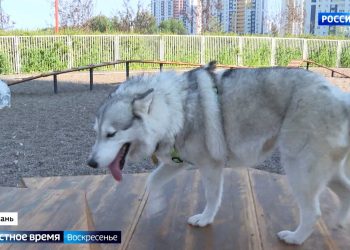 Спрос на установку кондиционеров в Татарстане вырос в два раза