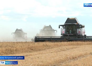 В Татарстане обмолочено почти 100 тысяч гектаров зерновых