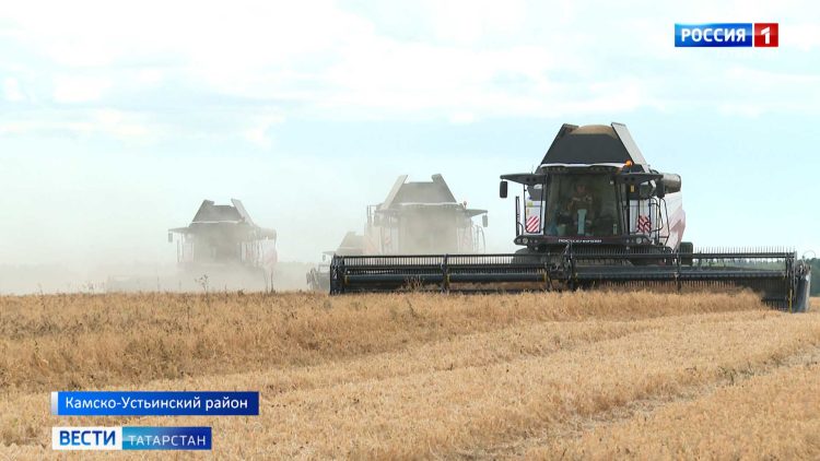 В Татарстане обмолочено почти 100 тысяч гектаров зерновых
