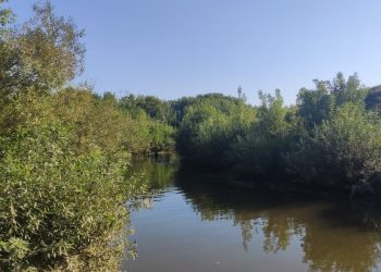 В Менделеевском районе утонул ребенок