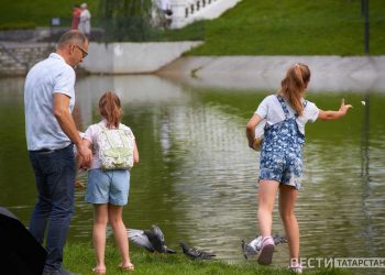 Гөлбакча (08.06.24)