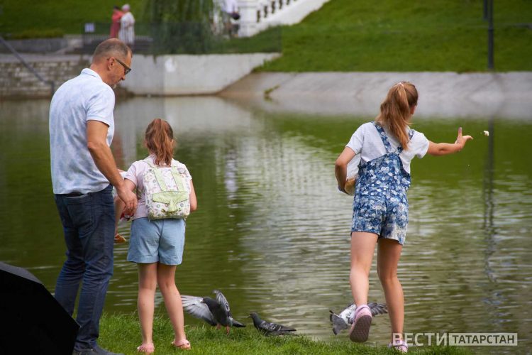 Гөлбакча (08.06.24)