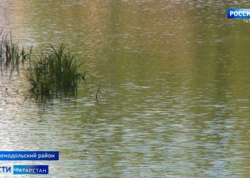 В казанском поселке хозяин дома, на который упала авиамодель, рассказал подробности происшествия