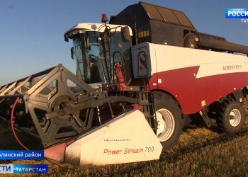 В Бавлинском районе 7-классник участвует в уборке зерновых