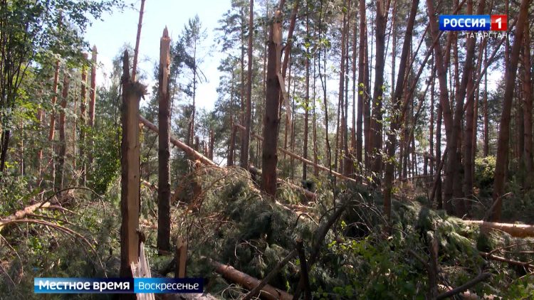 Эксперты рассказали, как уберечь себя в случае погодной стихии