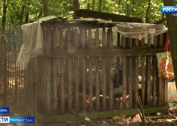 «Он просто убежал в овраг»: очевидцы рассказали подробности инцидента в ЖК «Радужный»