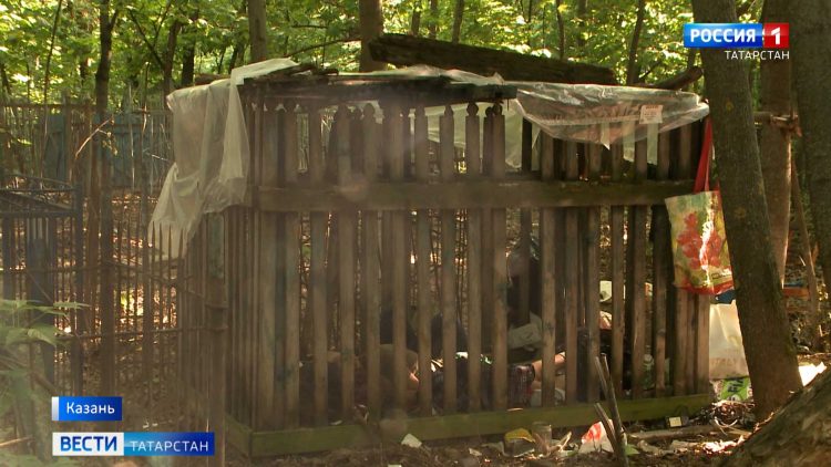 «Он просто убежал в овраг»: очевидцы рассказали подробности инцидента в ЖК «Радужный»