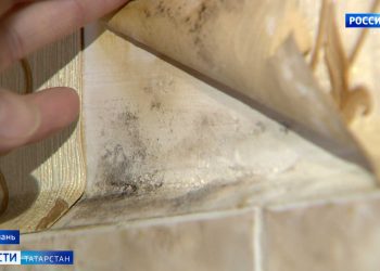 В Минэкологии РТ назвали причины обмеления Волги