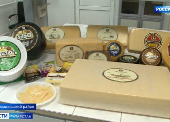 «Сохранить технологию и не потерять качество»: в Казани сыроделы ищут способ заменить иностранный сыр