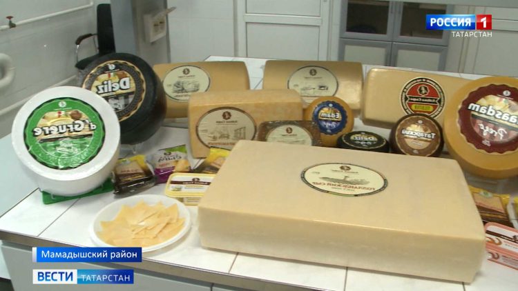 «Сохранить технологию и не потерять качество»: в Казани сыроделы ищут способ заменить иностранный сыр