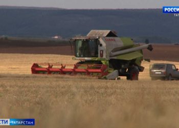 Тетюшские земледельцы лидируют в уборке зерновых