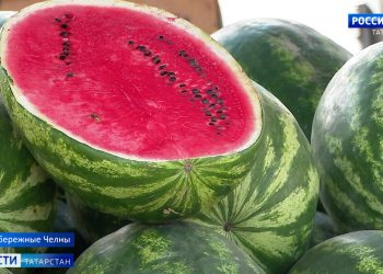 В Роскачестве рассказали, как правильно выбрать спелый арбуз