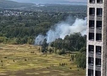 В Казани возле ЖК «Палитра» загорелась трава