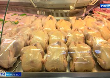 В двух районах Татарстана ввели дополнительные меры поддержки для контрактников