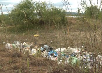 Сотрудники Госкомитета РТ по биоресурсам призывают сохранять особо охраняемые природные территории