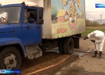 На Лениногорской птицефабрике объявили карантин из-за птичьего гриппа